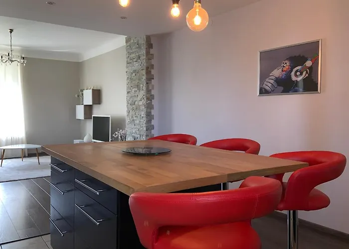 Le Saint-bernard * Metz