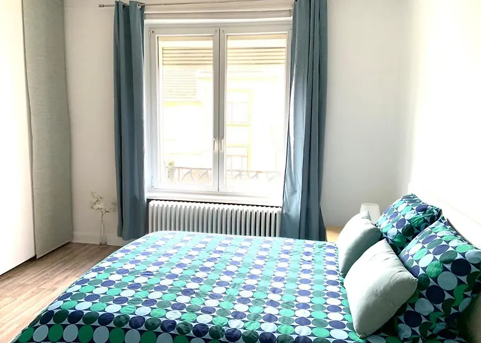 Le Saint-bernard Appartamento Metz