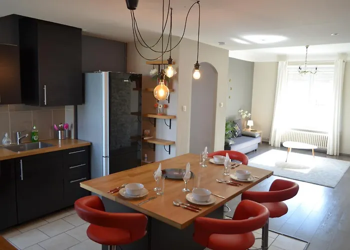 Le Saint-bernard Appartamento Metz